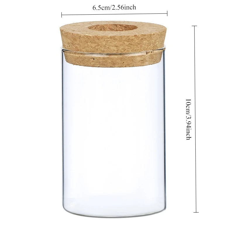Nordic Hydroponic Vase