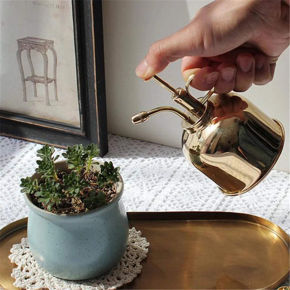 Hand using a gold watering can to water a potted plant on a textured surface.