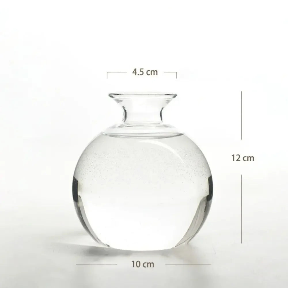 Avocado Hydroponic Glass Vase
