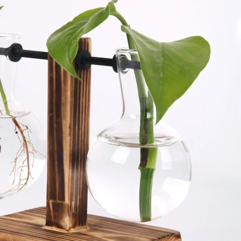 Glass vase with wooden base holding a plant, on a white background