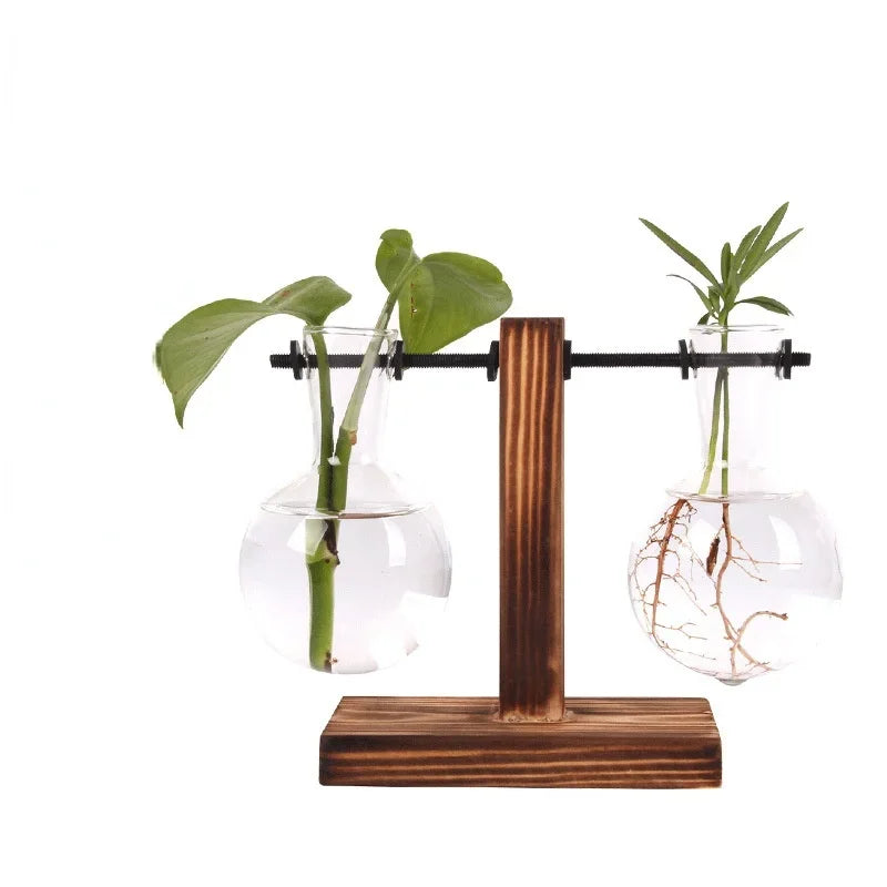 Wooden stand with two glass vases holding plants on a white background