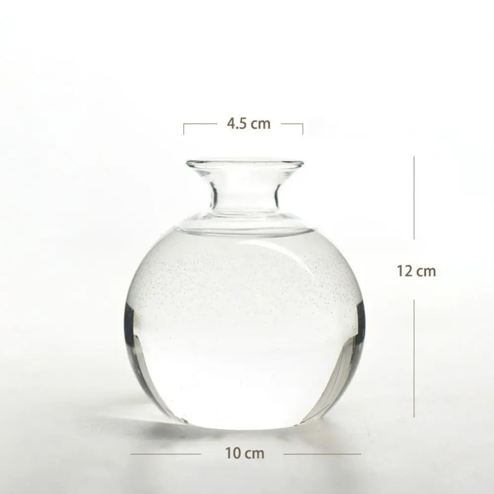 Avocado Hydroponic Glass Vase
