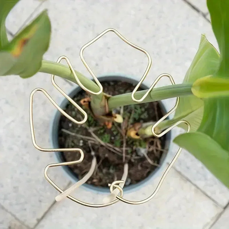 Gold wire plant support structure holding a potted plant on a light gray surface.