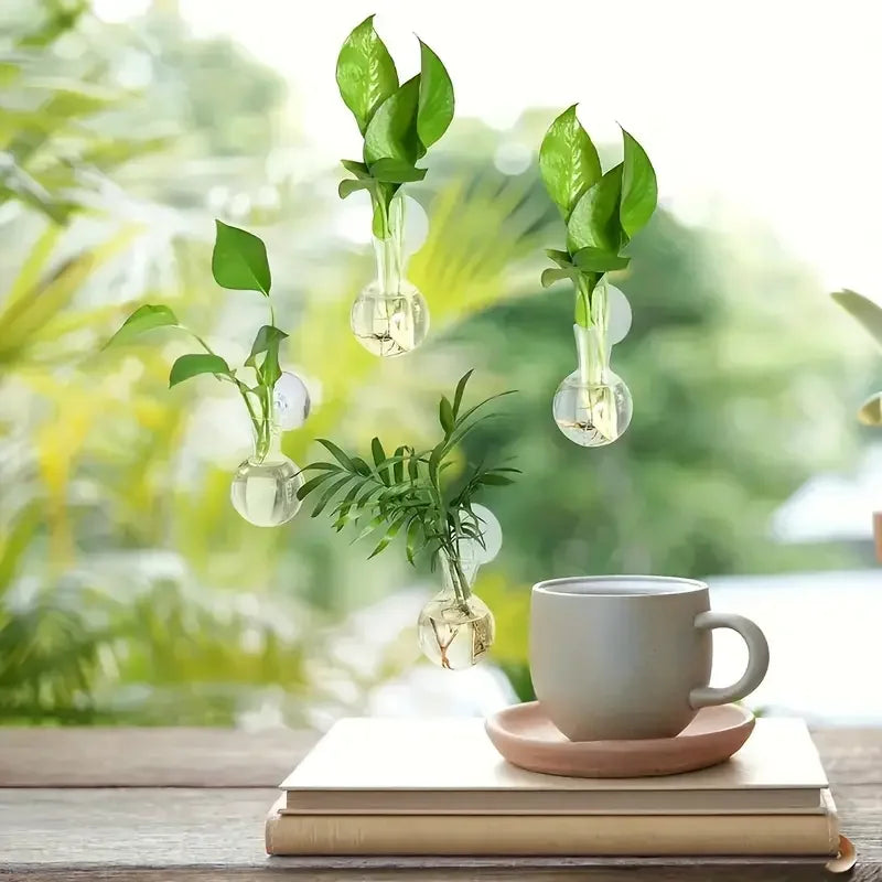 Decorative glass vases with plants on a table with a cup and books.