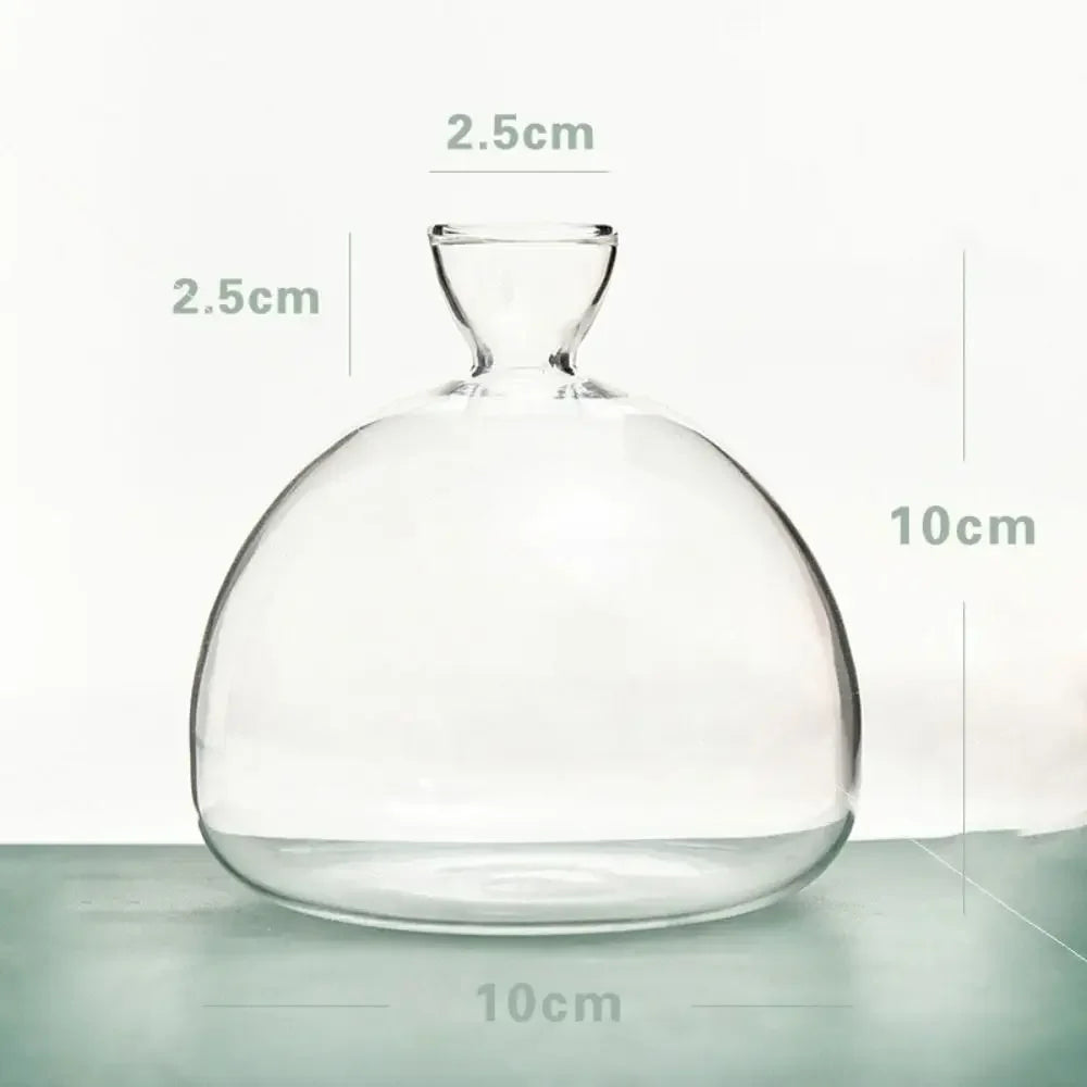 Avocado Hydroponic Glass Vase