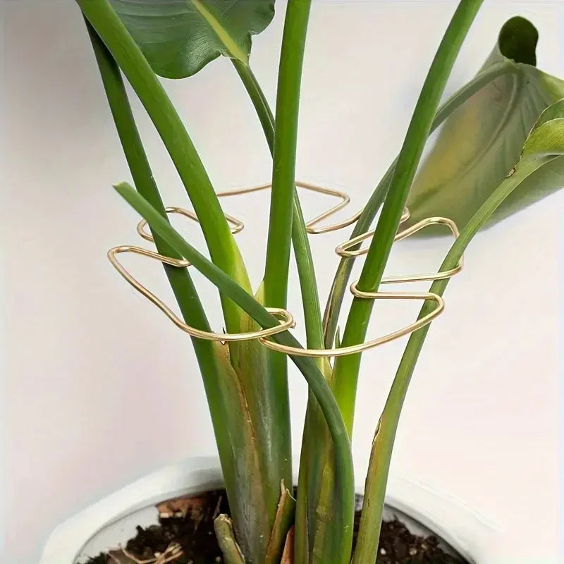 Golden Lift Plant Hook