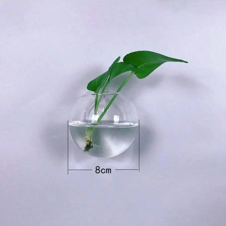 Wall-mounted glass vase with a plant, dimensions indicated, on a light gray background