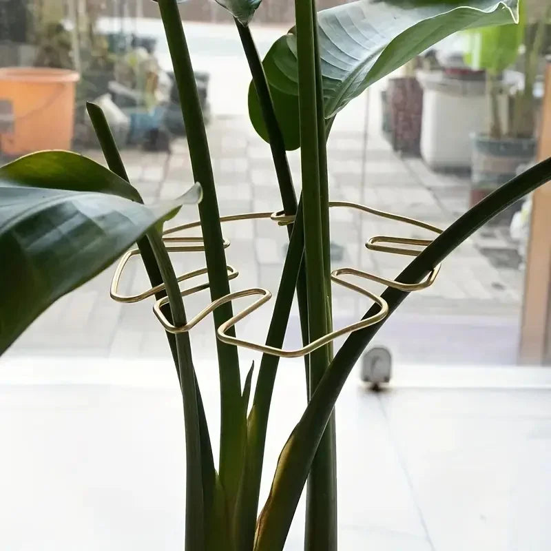 Golden Lift Plant Hook