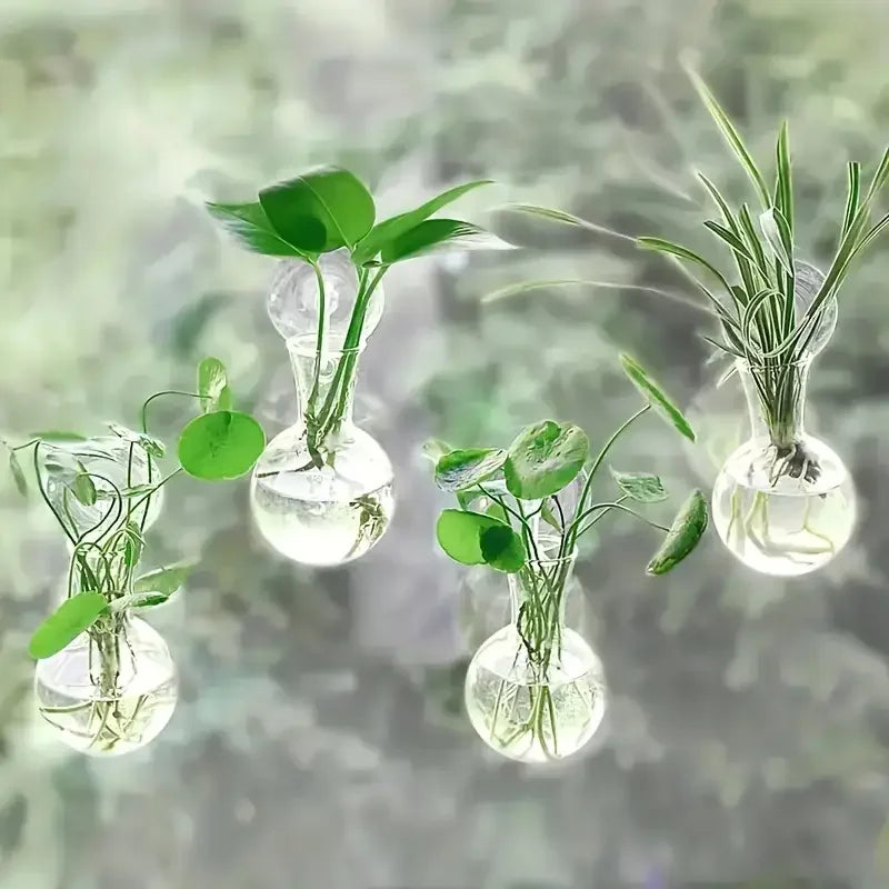 Wall Bloom Octet