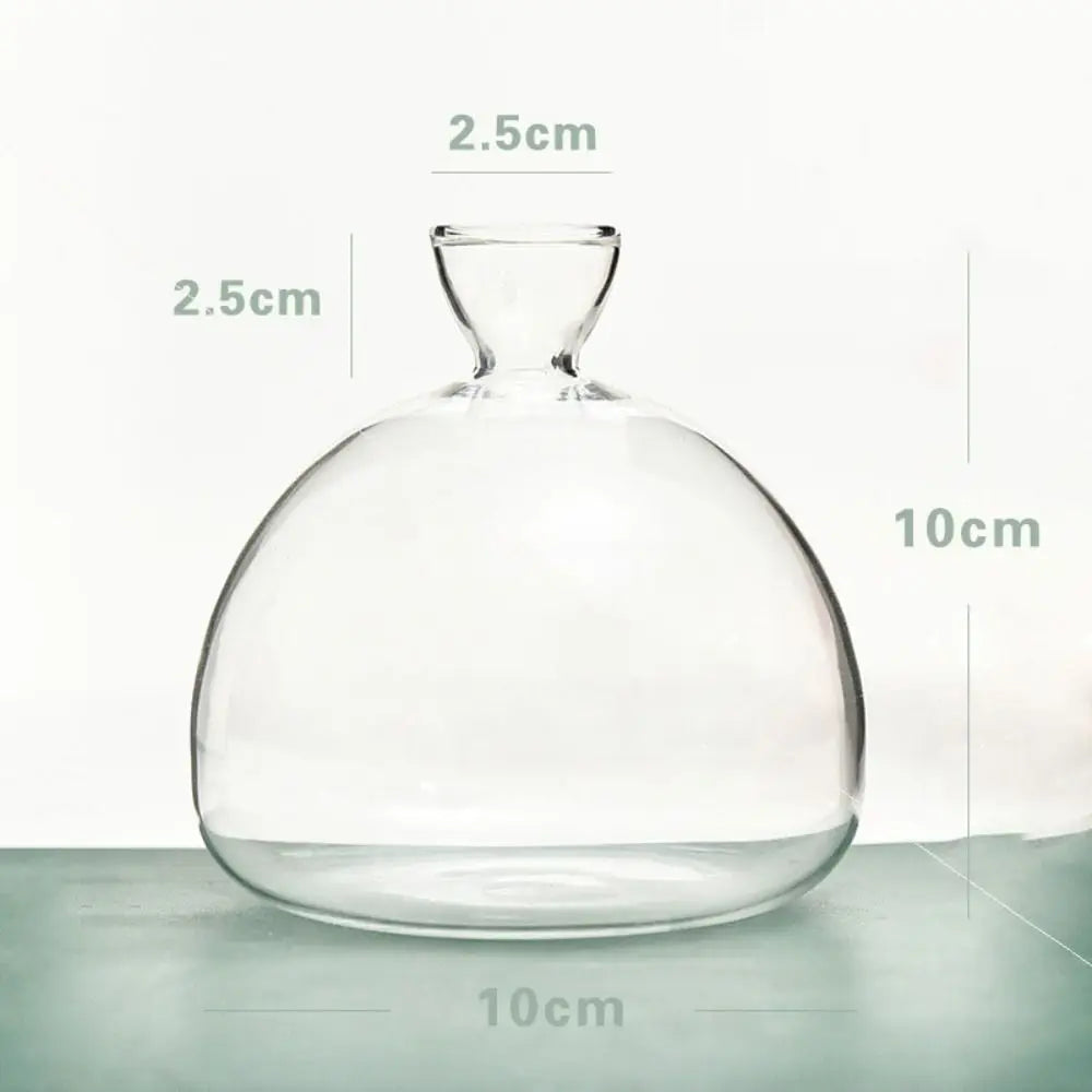 Avocado Hydroponic Glass Vase
