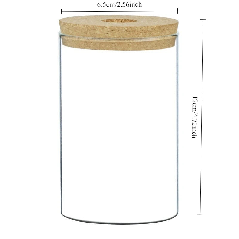 Nordic Hydroponic Vase