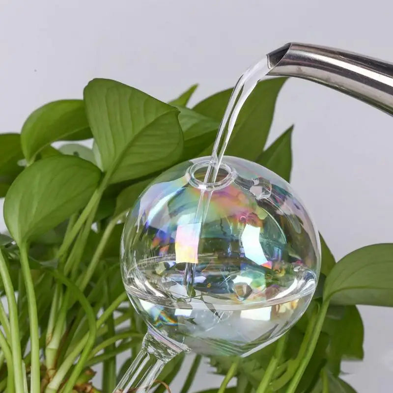 Classic Glass Globes