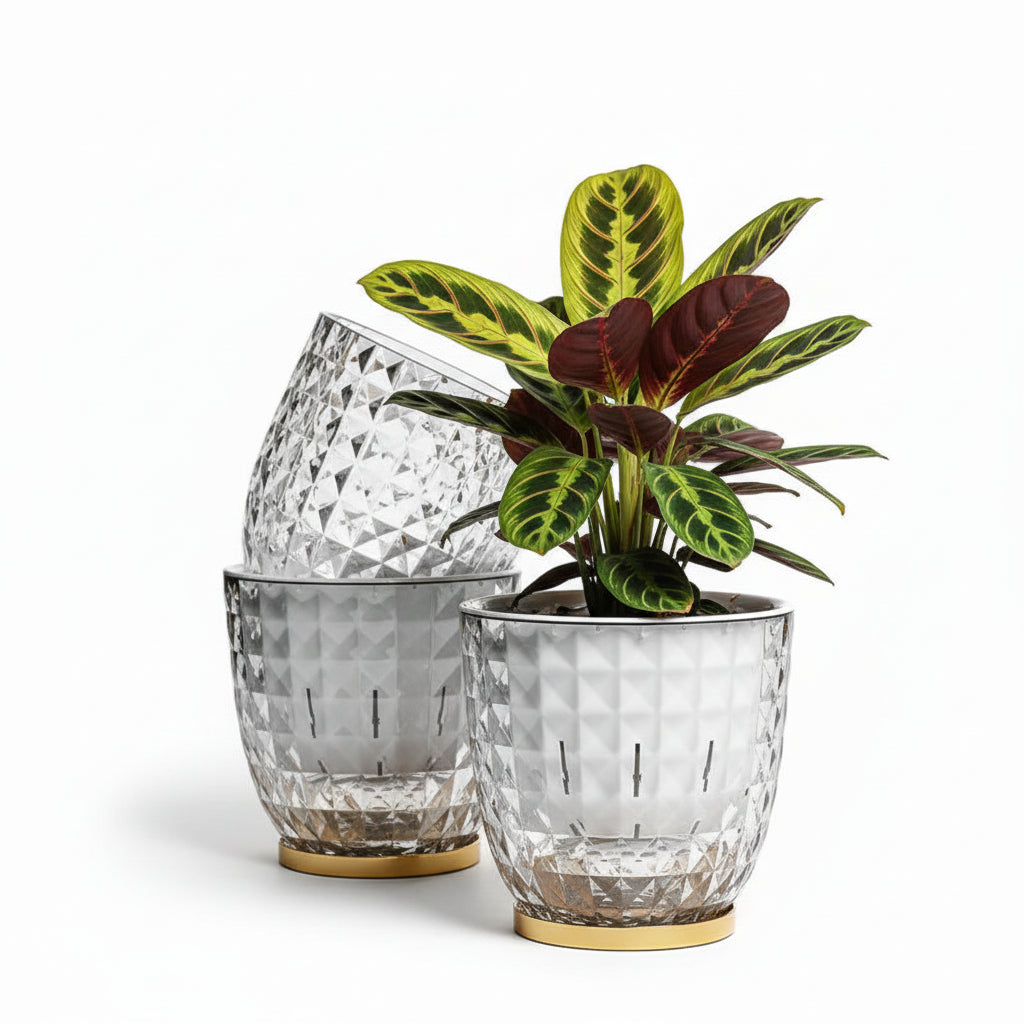 Decorative glass vases with a plant on a wooden surface