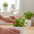 Hands Placing Little Bird